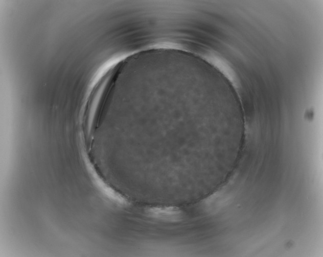 X0000092091133200709121507
