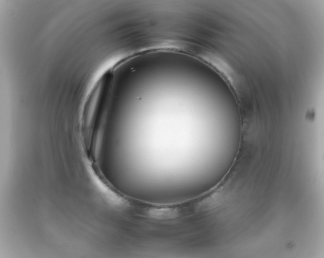 X0000092091135200709121507
