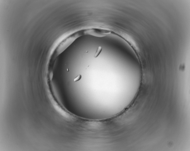 X0000092091136200709121507
