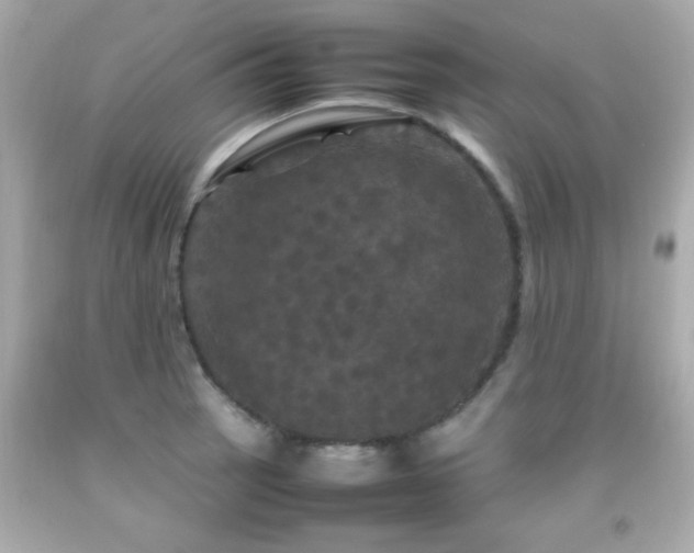 X0000092091137200709121507