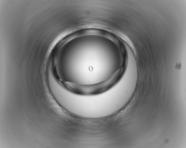 X0000092091138200709121507