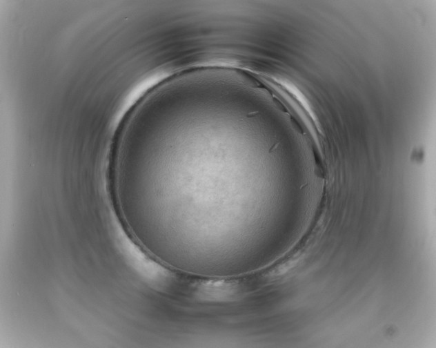 X0000092091139200709121507