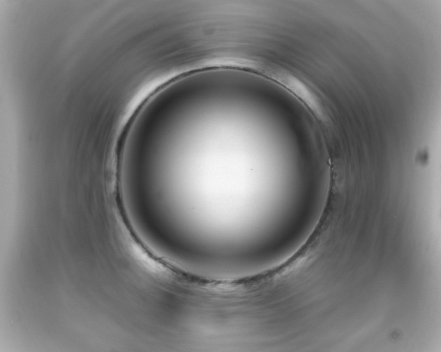 X0000092091140200709121507
