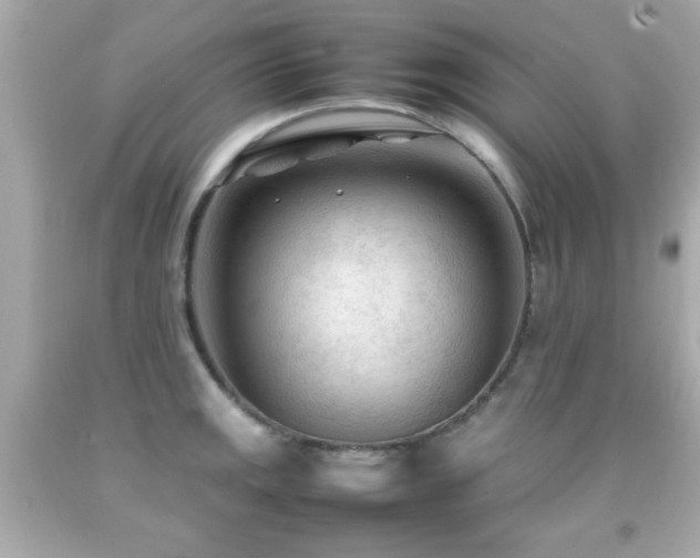 X0000092091141200709121507