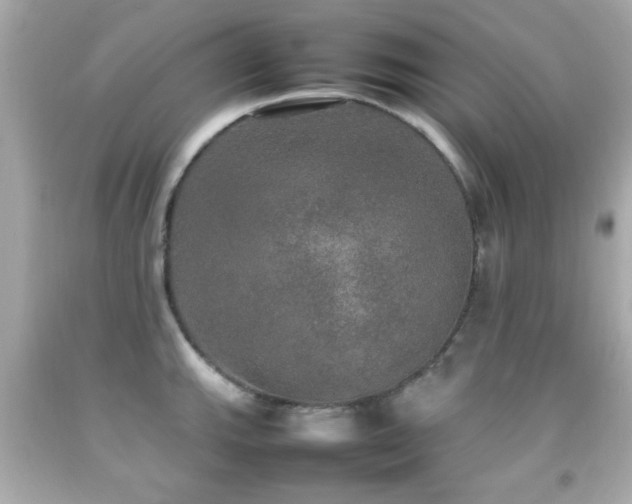 X0000092091143200709121507