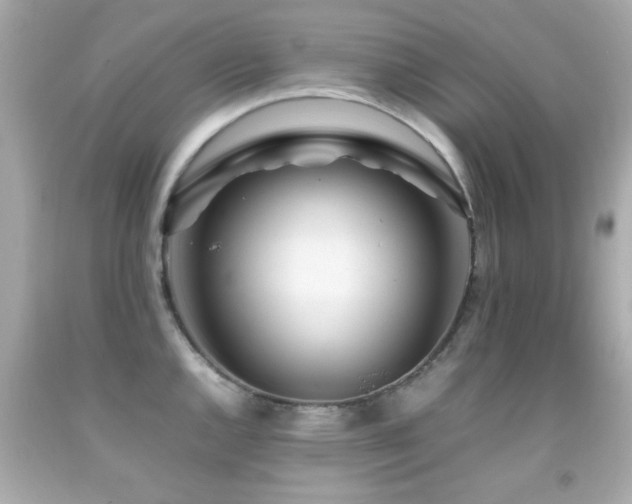 X0000092091144200709121507