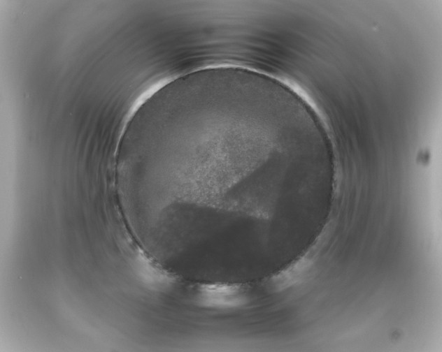 X0000092091145200709121507