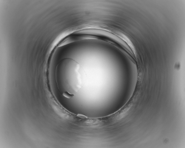 X0000092091146200709121507