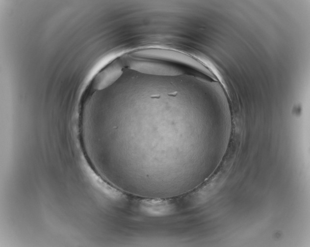 X0000092091147200709121507