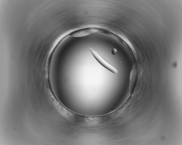 X0000092091148200709121507