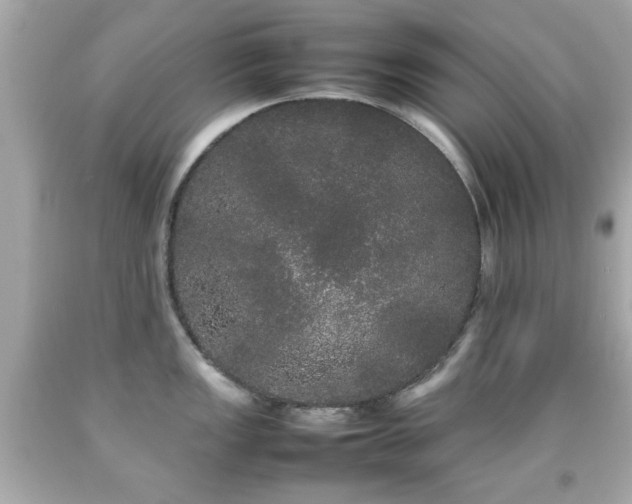 X0000092091149200709121507