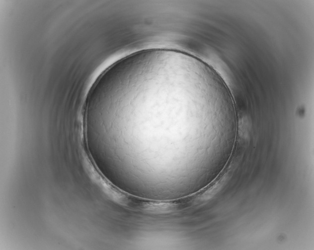 X0000092091150200709121507