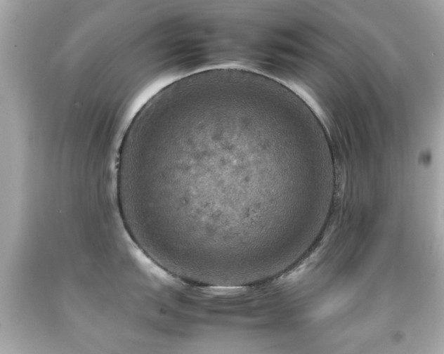X0000092091151200709121507