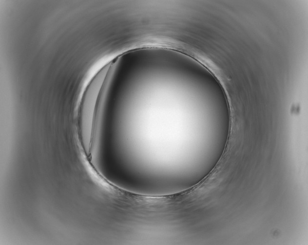 X0000092091152200709121507