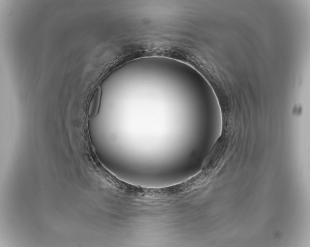 X0000092091153200709121507