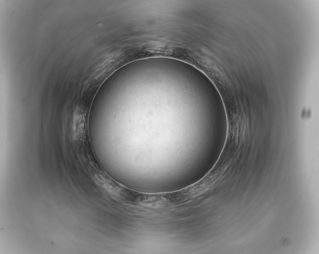 X0000092091154200709121507