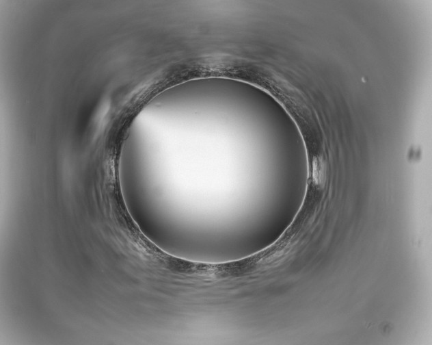 X0000092091155200709121507
