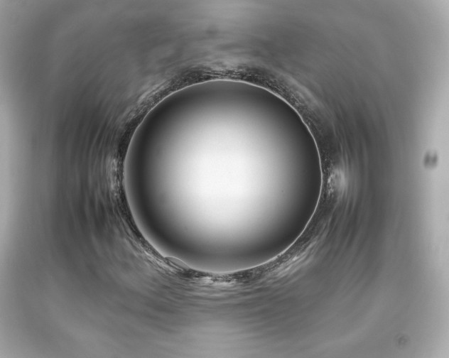 X0000092091156200709121507