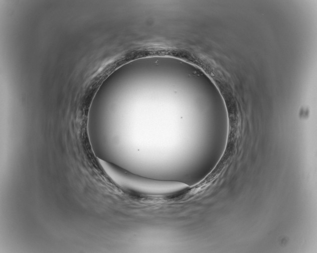 X0000092091157200709121507