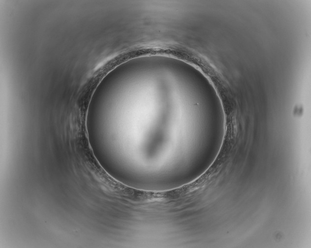 X0000092091158200709121507