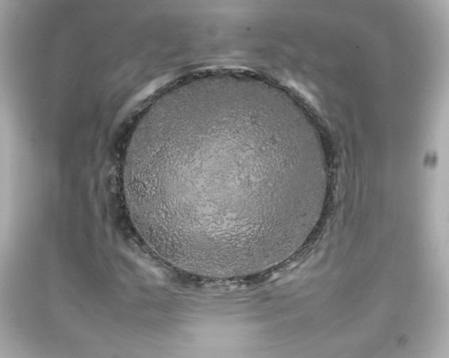 X0000092091159200709121507