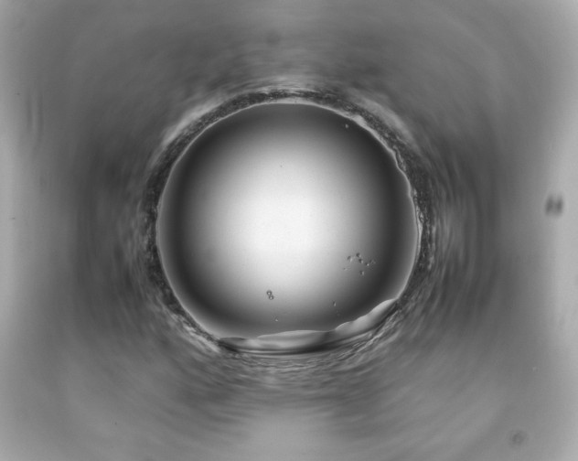 X0000092091160200709121507