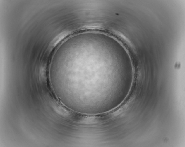 X0000092091162200709121507