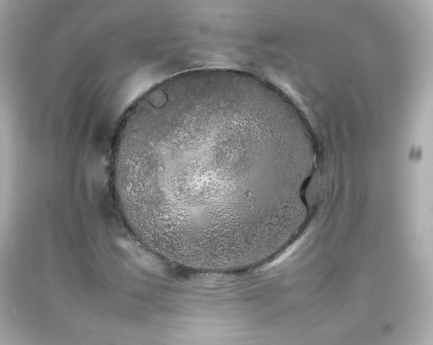 X0000092091163200709121507