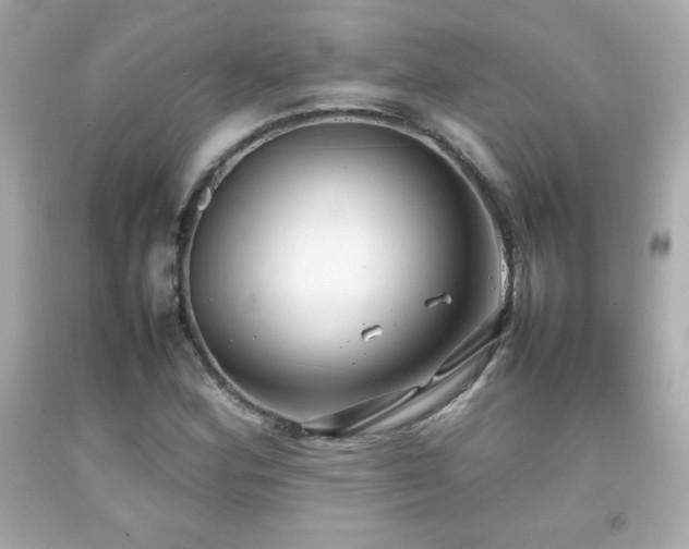 X0000092091164200709121507