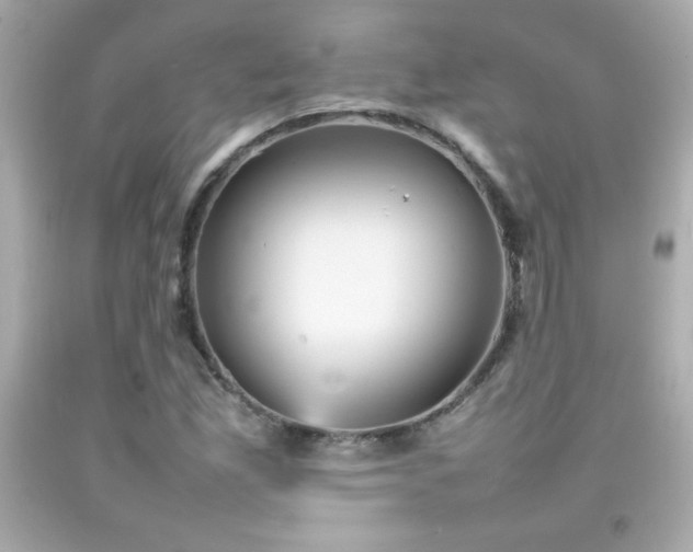 X0000092091165200709121507