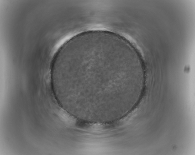 X0000092091167200709121507