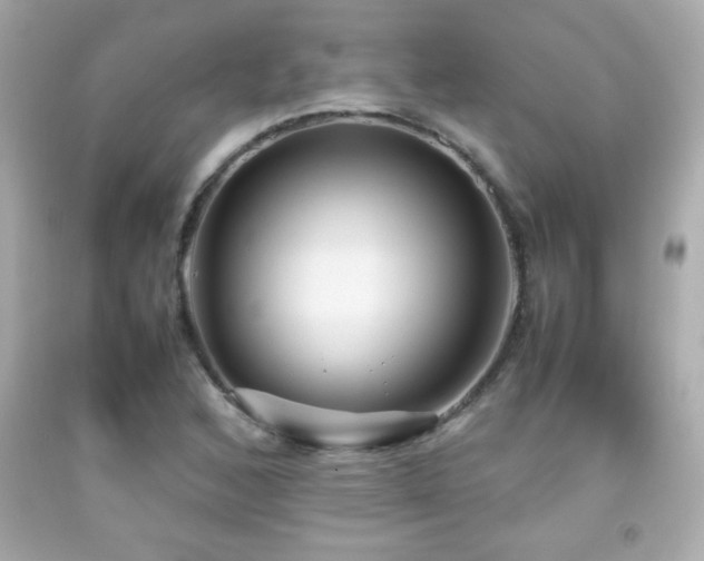 X0000092091168200709121507