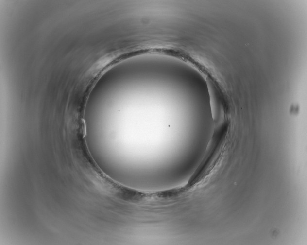 X0000092091169200709121507