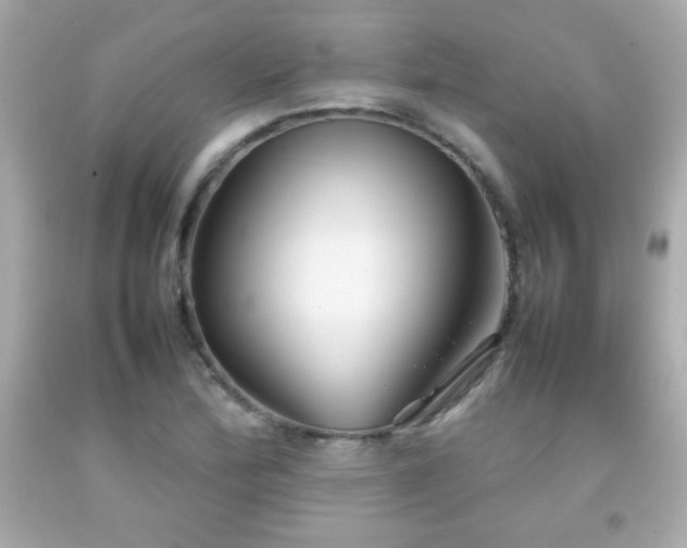 X0000092091172200709121507