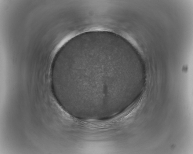 X0000092091173200709121507