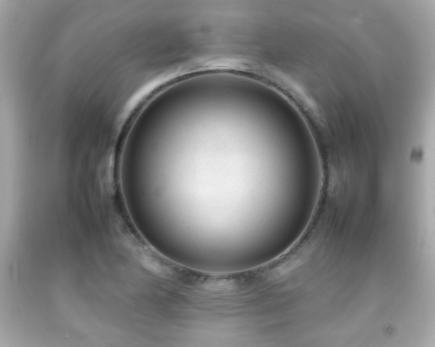 X0000092091174200709121506