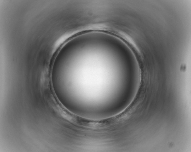 X0000092091176200709121506