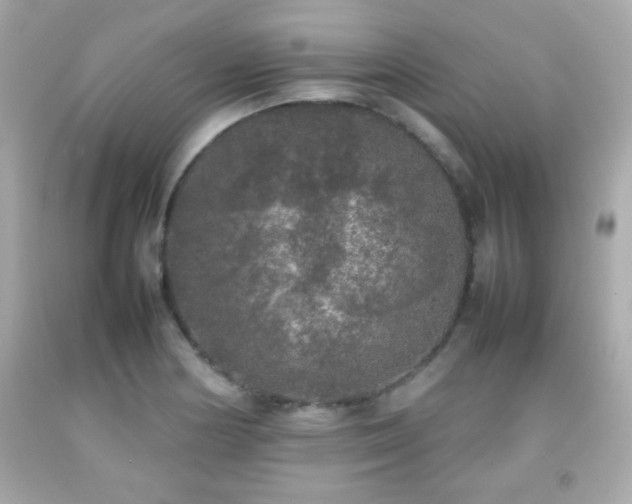 X0000092091178200709121506