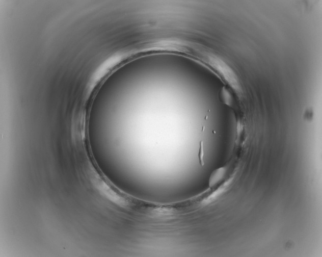X0000092091180200709121506