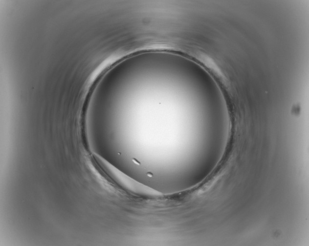 X0000092091181200709121506