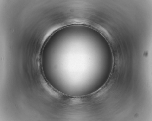 X0000092091182200709121506