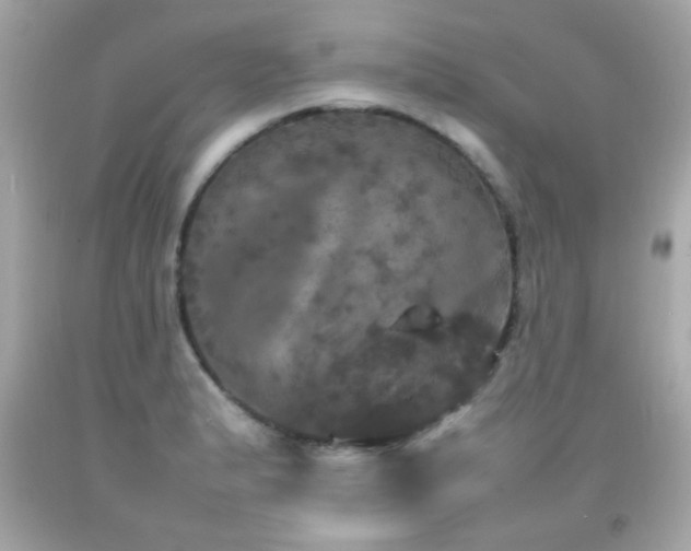X0000092091183200709121506