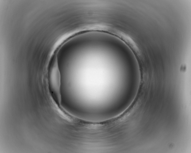 X0000092091184200709121506