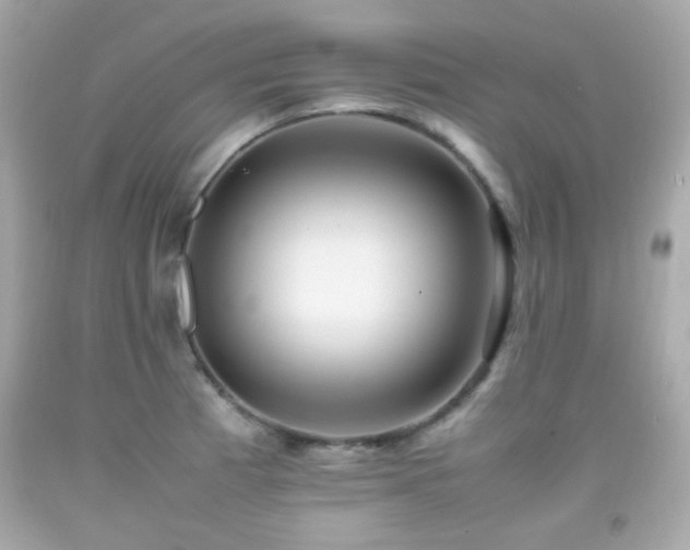 X0000092091185200709121506