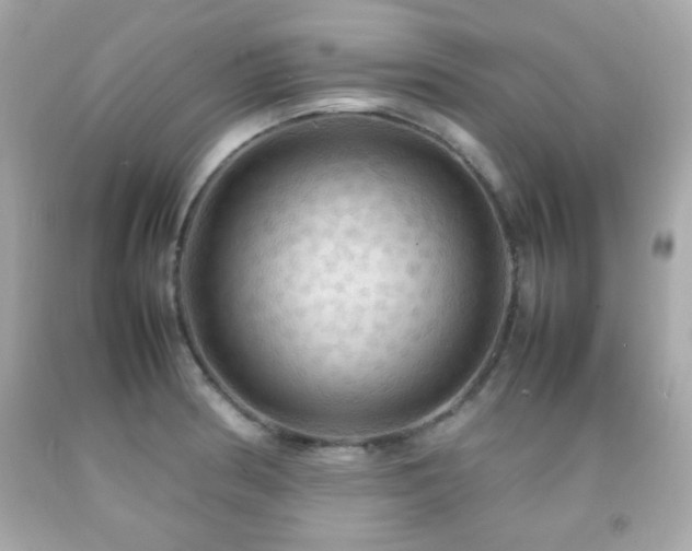 X0000092091186200709121506