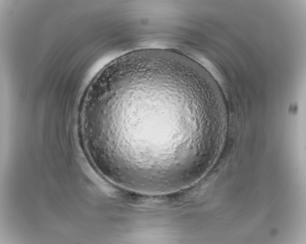 X0000092091187200709121506