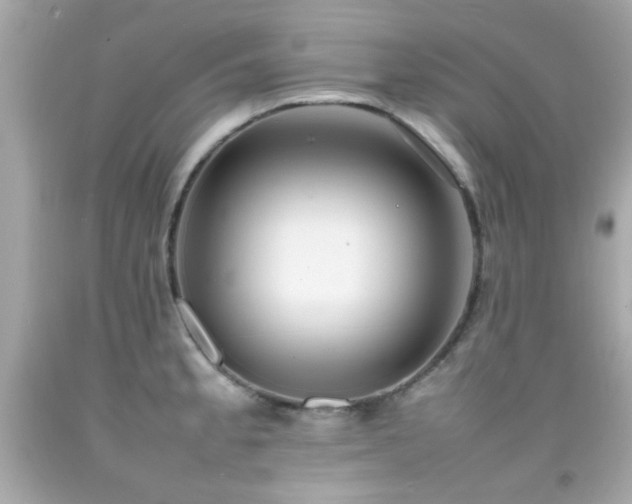 X0000092091189200709121506