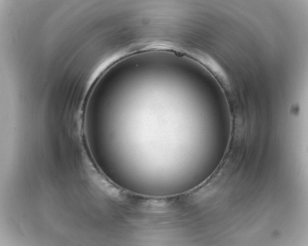 X0000092091190200709121506
