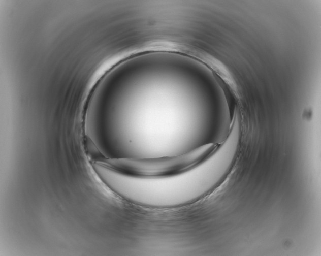X0000092091192200709121506
