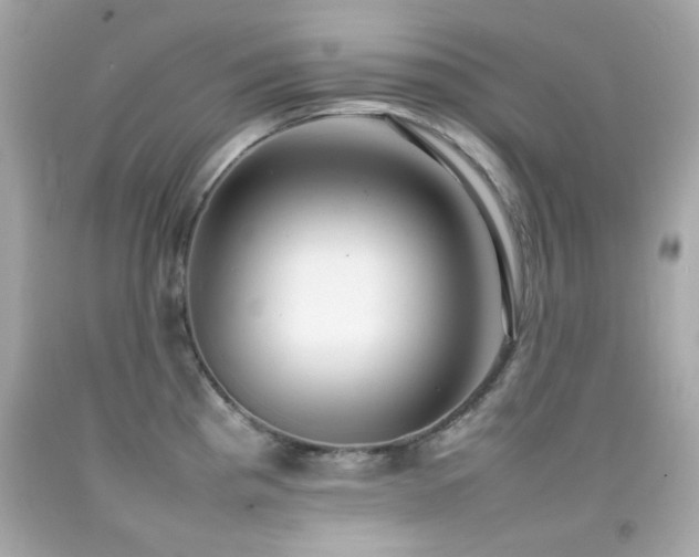 X0000092091193200709121506